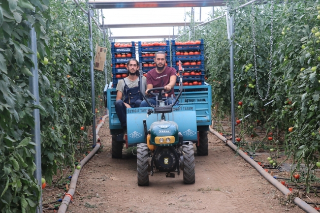 Orman mühendisi iki kardeşin 'modern çiftlik' hayali gerçeğe dönüştü