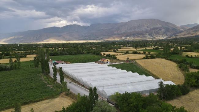 Orman mühendisi iki kardeşin 'modern çiftlik' hayali gerçeğe dönüştü