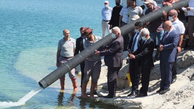 Baraj ve göletlere 12 milyon yavru sazan