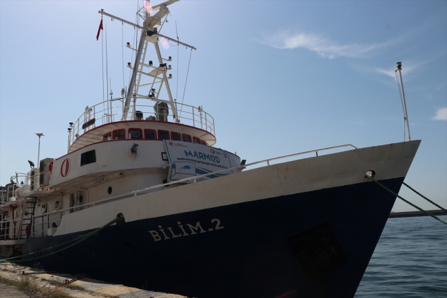 Marmara'da oksijen azalıyor: Daha az balık olabilir