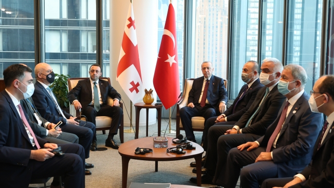 Garibaşvili-Erdoğan aa