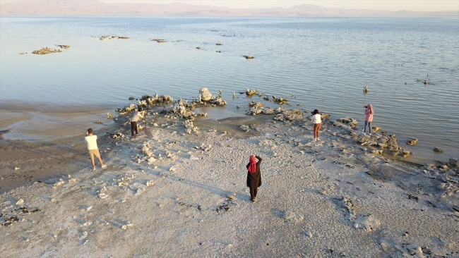 Su seviyesinin azaldığı Van Gölü'nde 'mikrobiyalitler' ortaya çıktı