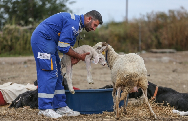 Alevlerden kurtuldu ‘Barış'ı doğurdu