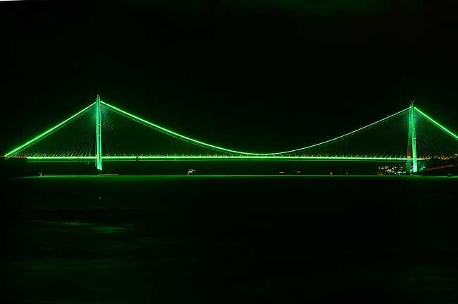 İki köprü 'Serebral Palsi'ye farkındalık için yeşile büründü