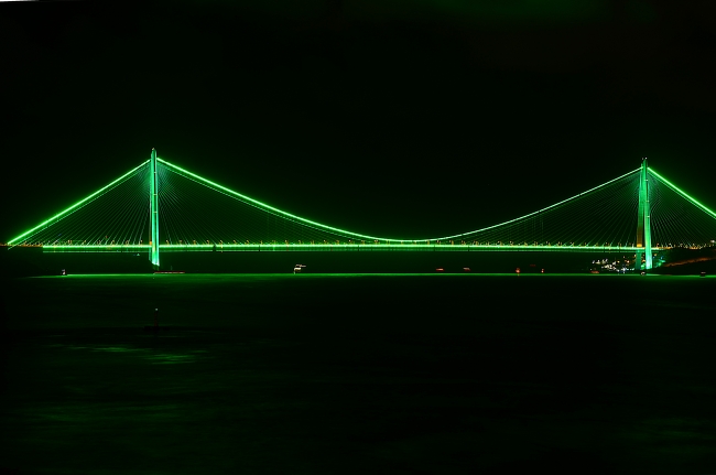 İki köprü 'Serebral Palsi'ye farkındalık için yeşile büründü