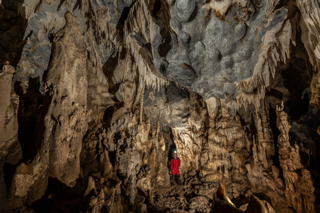 Mağaralarda hayvan türleri araştırılıyor: Önemli bulgulara rastlandı
