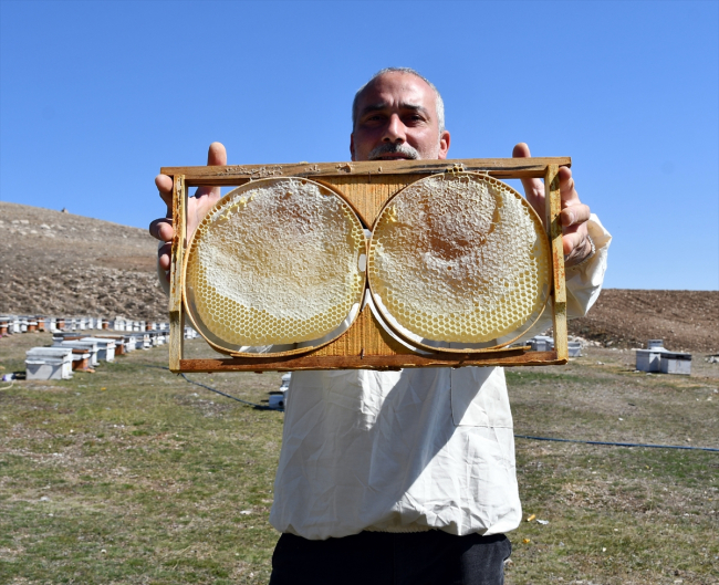 Hobisi işe dönüştü, 7 ton bal üretiyor