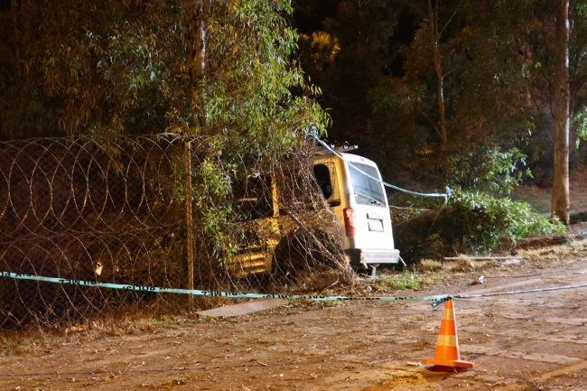 İzmir'de ticari araç sürücüsü ağaca çarparak yaşamını yitirdi