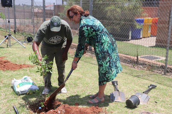 Yunus Emre Enstitüsü Güney Afrika'da fidan dikti