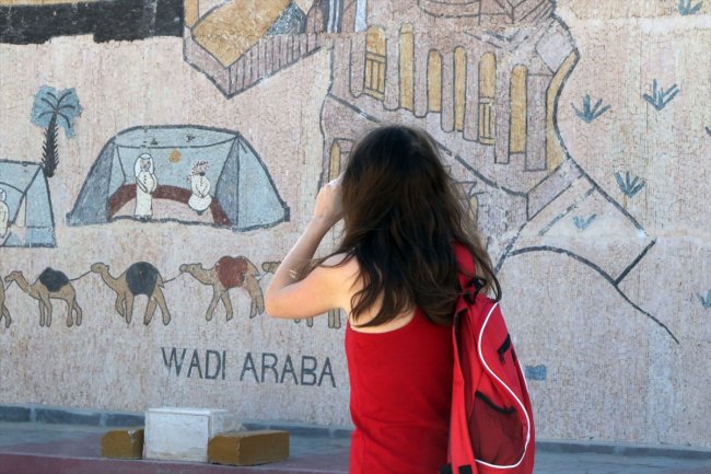 Mozaik sanat eseri: Kral Yolu, Guinness'e girmeyi bekliyor