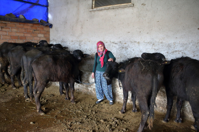 30 yıl sonra mandıra sahibi oldu