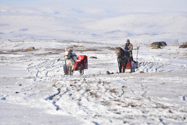 Atlı kızakçılar Çıldır Gölü'nün donmasını bekliyor
