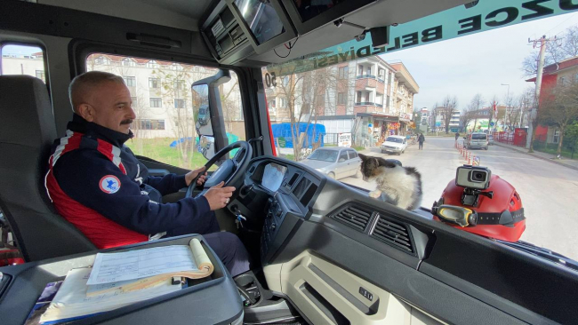 Kurtarılan kedi itfaiye ekiplerinin maskotu oldu