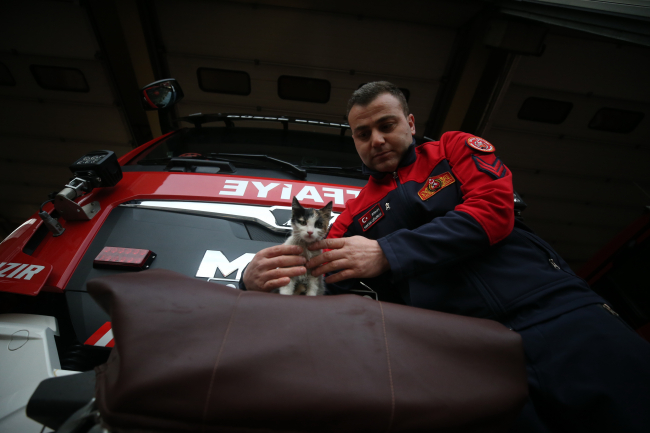 Kurtarılan kedi itfaiye ekiplerinin maskotu oldu