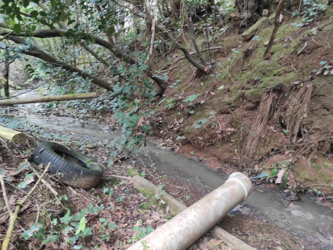 İstanbul'un derelerinde kirlilik akıyor