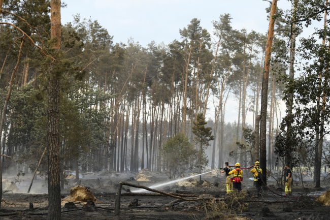 Almanya-Çekya sınırındaki orman yangınında 4 itfaiye eri yaralandı
