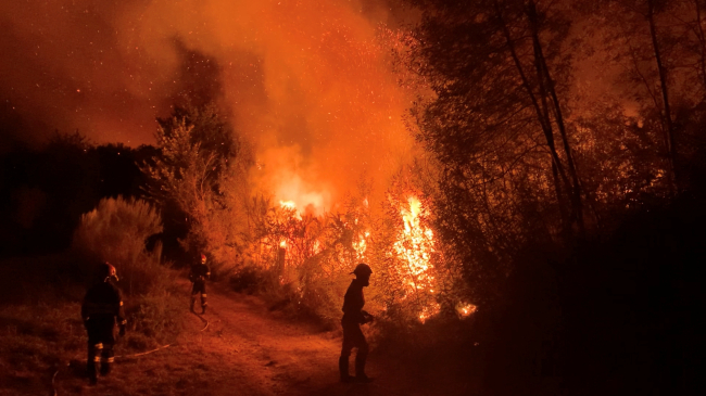 İspanya'da bir yangın | Fotoğraf: Reuters