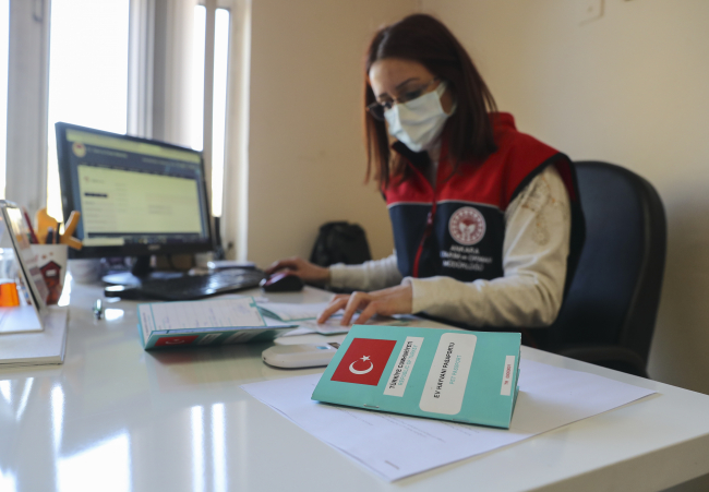 Tehlikeli köpek ırklarının kayıt altına alınmasında son gün yoğunluğu