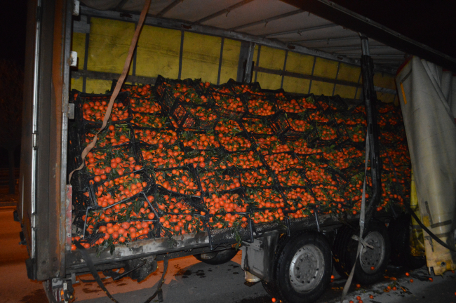 Yola saçılan mandalinalar trafiği aksattı
