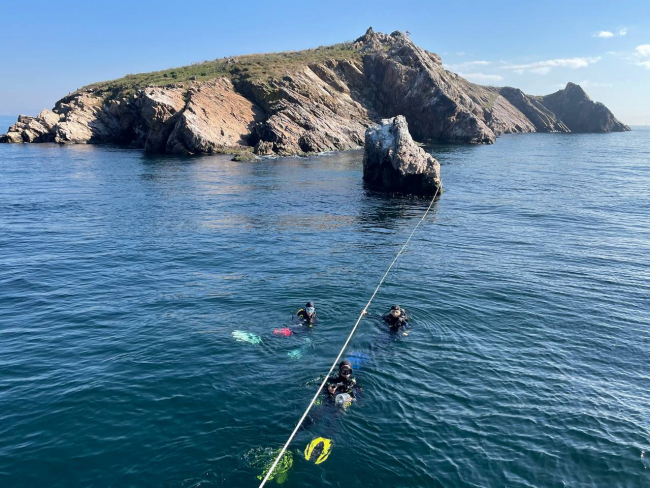 Müsilaj, Marmara'daki mercan ve sünger popülasyonunu olumsuz etkiledi