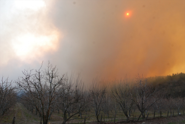 Çanakkale'de orman yangını: Müdahaleler sürüyor