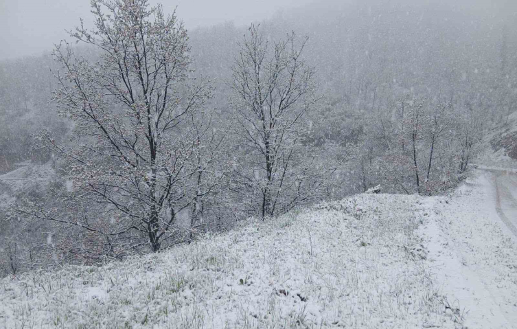 Manisa’ya mevsimin ilk karı düştü