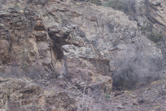 Göle'de depremin kopardığı kaya korkutuyor