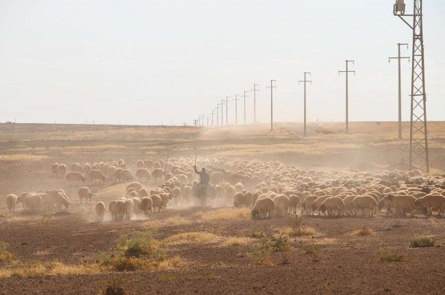 İşleri zor ama iftar ve sahurları keyifli