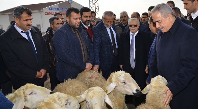 100 bin aileye sıfır faizli kredi ve hayvan desteği