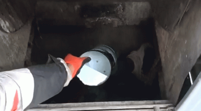 Ekmeklerini yeraltı çöp konteynerinden çıkarttılar