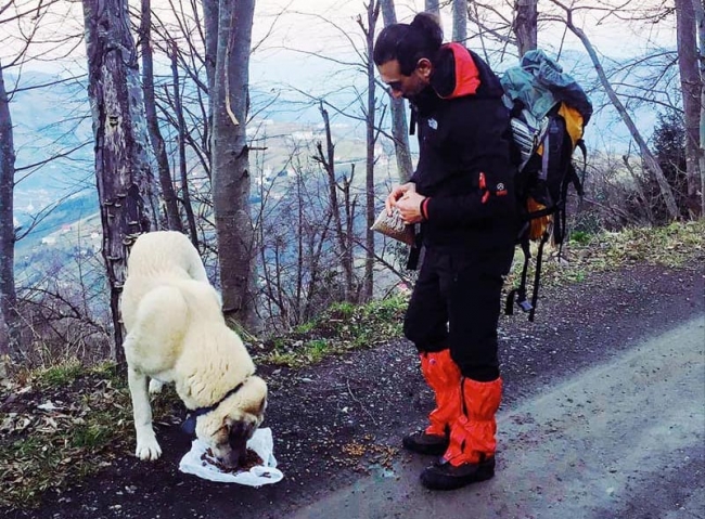 Donmak üzere olan köpeği, kilometrelerce kucağında taşıdı