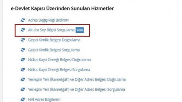 e-Devlet soyağacı hizmeti yoğunluk nedeniyle askıya alındı