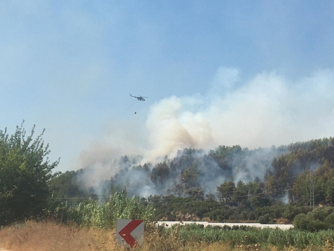 Antalya'da orman yangını