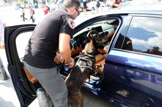 İstanbul'da 39 ilçede 'Kurt Kapanı' operasyonu