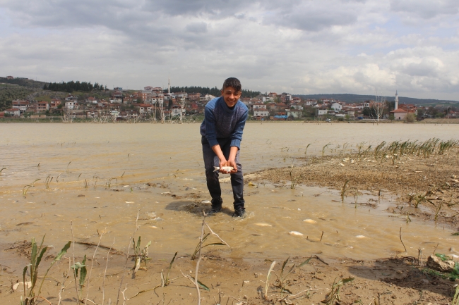 Tarladan balık topladılar