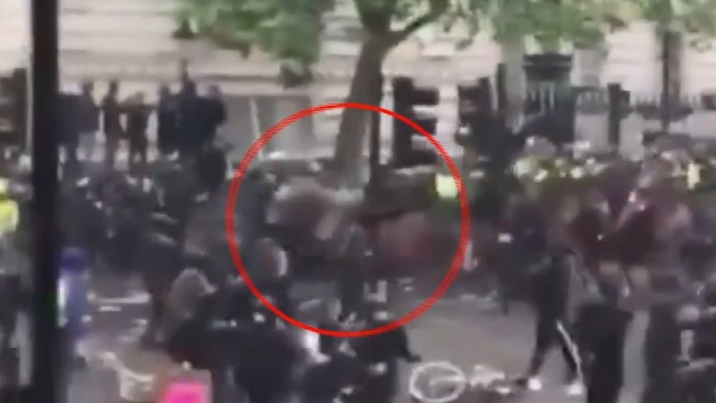 Londra'daki protestolarda polis attan düştü, at göstericiyi yaraladı