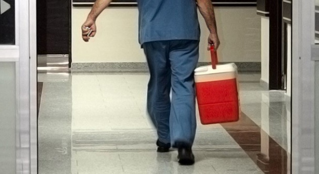 Beyin ölümü gerçekleşen gencin organları 4 kişiye umut oldu