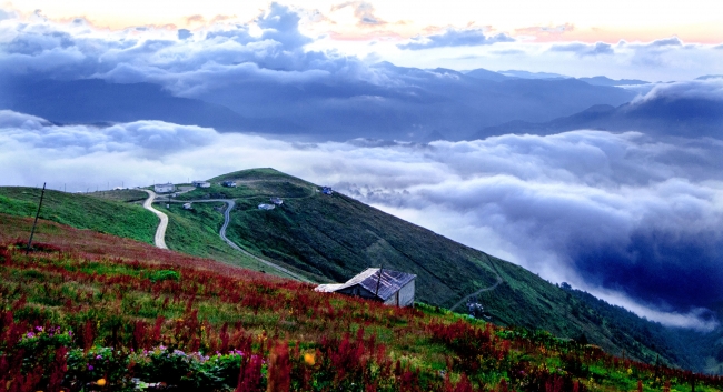 Karadeniz yaylalarında bulutların üzerinde yaşam