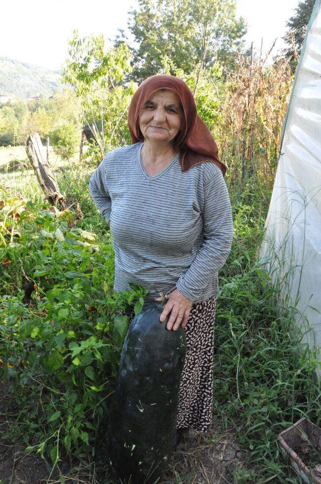 Komşusundan aldığı Çin salatalıklarının boyu 1 metreyi buldu