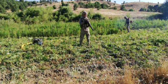 Fotoğraf: TRT Haber