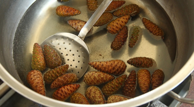 Çam kozalağı reçel ile tatlanıyor