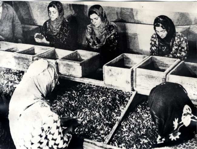 "Milli Mücadelede Kadınlar" fotoğraf sergisi