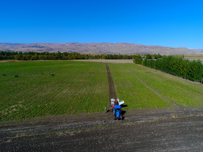 Tarımda istihdam martta 5 milyonu aştı
