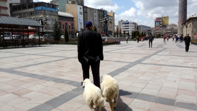 Kuzuları yanından ayrılmıyor