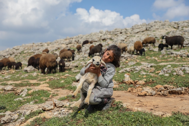 Göçerlerin 'yaz maratonu' başladı