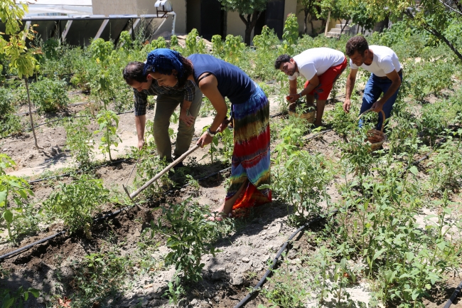 Tatilcilerin yeni gözdesi