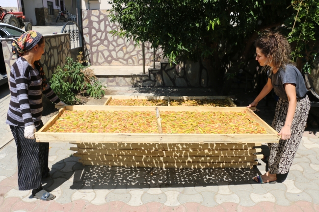 Anne-kız 'incir cipsi' ile girişimci oldu