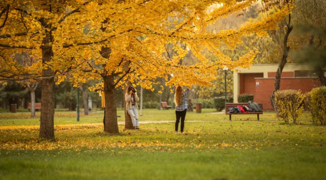Soğanlı Botanik Parkı hazan renklerine büründü
