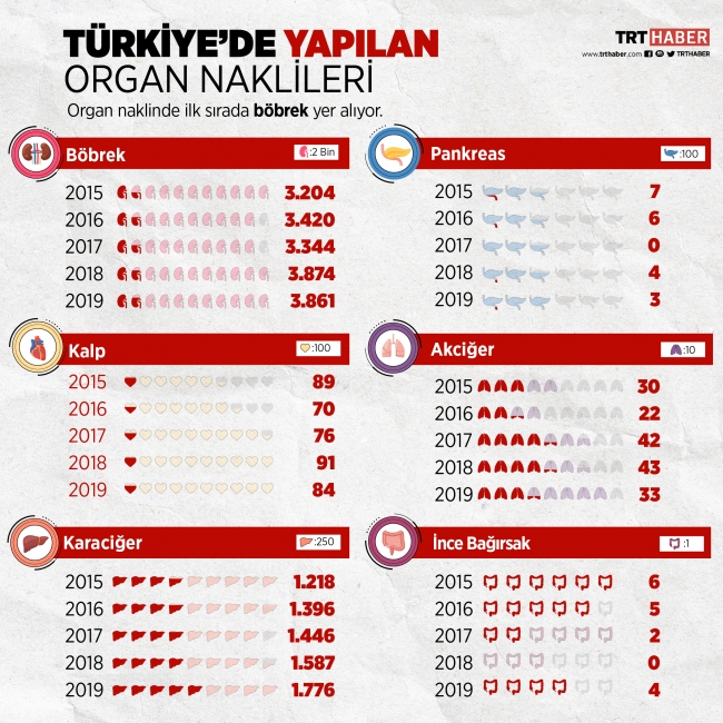 Türkiye’de 26 bin 667 hasta organ nakli bekliyor