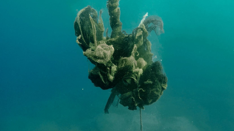 Temizlenen hayalet ağlar ile 2 milyon 750 bin balığın ölümü engellendi